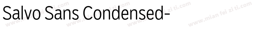 Salvo Sans Condensed字体转换